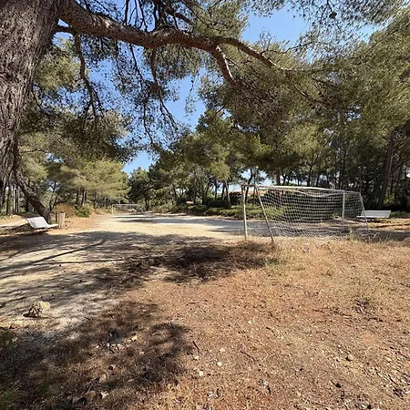 Vue - 4 Pers. - Fr-1-845-45 Bandol